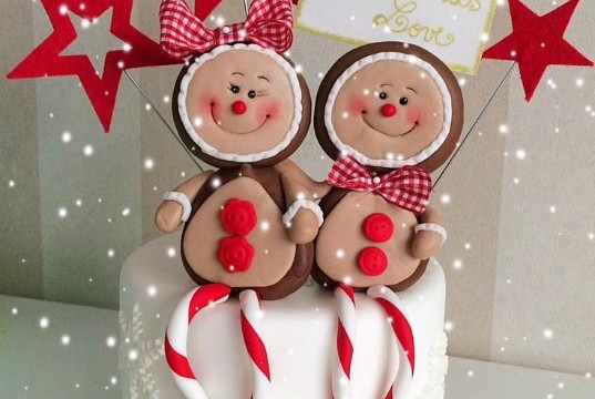 cake-design-natale