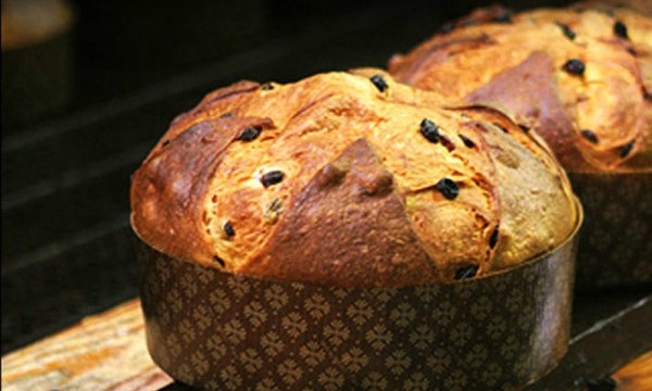 panettone_cover